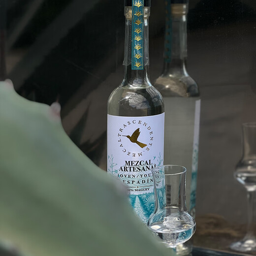 超凡之鸟梅兹卡尔手工甄选混酿龙舌兰酒Mezcal墨西哥洋酒进口烈酒 手工甄选梅兹卡尔龙舌兰酒