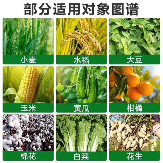 Genuine 28 epibrassinoids, internal lipids, rooting and strengthening seedlings, plants to regulate growth and increase yields, foliar fertilizers, pesticides, whole box wholesale, brassinoids 500g