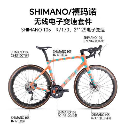 Girdercycle Glad Carbon Faser-Straßenrad Shimano105 R7170 Elektrische Transformation umfassende 24-Geschwindigkeits-Komfort-Rennspenne handbemalte schwarze Grau 24 Geschwindigkeit (448 mm)