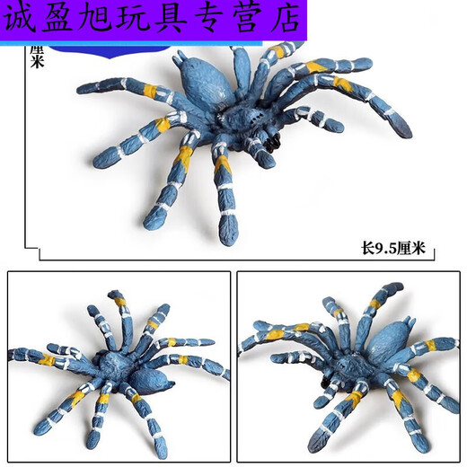 Simulation du village de Shantoulin Spider Spider Halloween Prank Toy Simulation Spider VenoMous Spider Insect Modèle Animal Ox-683 Brésilien Blue Bird Catching Spider 0.0