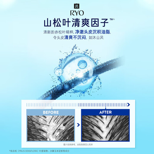 吕（Ryo）蓝吕男士控油洗发水去屑舒缓头皮洗发膏920ml