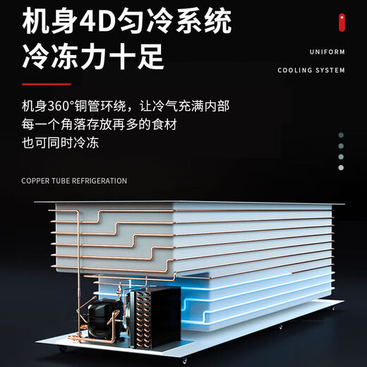白雪 BAIUE稚乐大容量冰箱冷柜卧式冷藏家用双温冷冻正品两用小型商用 1098L2280*900*870