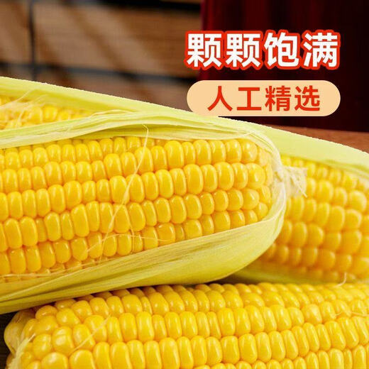 High-quality sweet corn, fresh fruit corn, freshly picked tender corn, sweet fruit corn, nutritious breakfast juice, 1.8-2Jin Jin equal to 0.5kg, with box, 2-3 pieces, starting from 300g/root