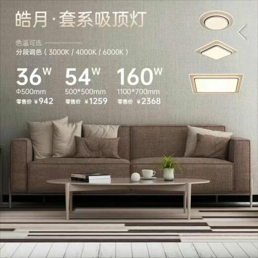 JPHZNB2025 Новый магазин HAOYUE WCX11969 Гостиная спальня Потолочный свет Super Bright Modern Modern Simple HAOYUE 110070 HAOYUE 1100*700MM-160W-WHETE + BLACK