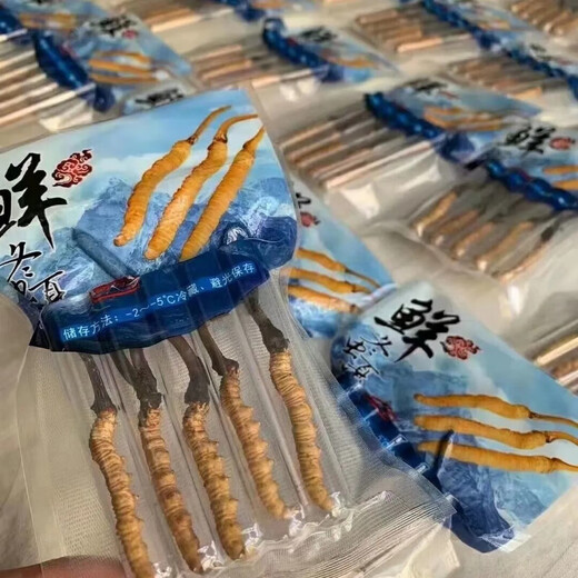 618超级彩蛋新鲜冬虫夏草2025年头期虫草正品领导高海拔送礼正宗鲜虫草过节 1.0-1.2克/根   100根鲜虫草