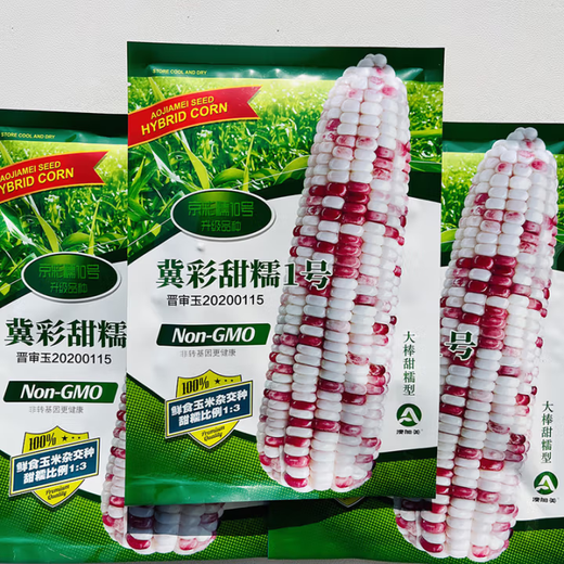 White, sweet and waxy corn seeds, high-yielding, sown in all seasons, white waxy corn, non-transferable, state-approved, farmers' super sweet and waxy corn seeds, Zhongnuo No. 2 corn seeds, original 200g, 1 bag