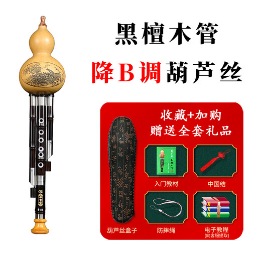 正音堂葫芦丝民族乐器专业演奏C调降B调乌木管镶孔成人儿童小学生专用 黑檀木管降B调葫芦丝