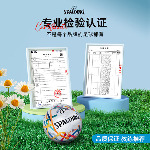 斯伯丁（SPALDING）官方正品Storm系列机缝5号足球软皮儿童训练专用 64-967Y(送足球) 5号球(正规11人制用)
