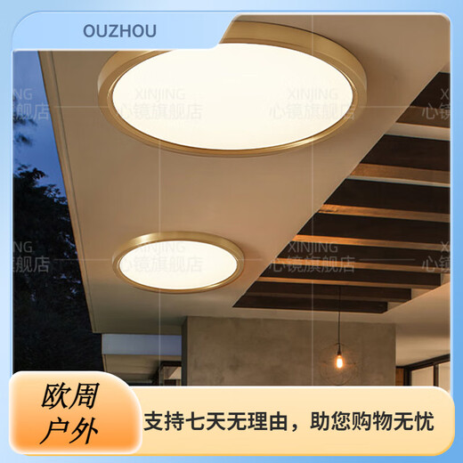 心镜全铜户外吸顶灯别墅大门口超薄门前灯室外过道阳台灯防蚊虫庭 X3893-800/方形