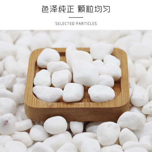 Runhua Nian micro landscape white pebbles Yuhua stone succulent plant paving stone fish tank flower pot decoration small stones 5Jin Jin equals 0.5kg (9-12mm) white pebbles