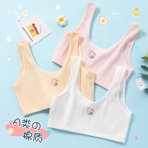 Tingguagua 2 pieces girls underwear for students in the first stage of childhood development period cotton anti-bulge spots for girls aged 8-14 years old