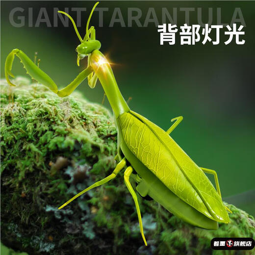 Fernbedienung Mantis Elektrische Simulation Spielzeug Streich Artefakt Kakerlach Junge Moves Spider Crawling Animals Klassische Version - Fernbedienungs -Ladykäfer Red 9922+ Schraubendreher