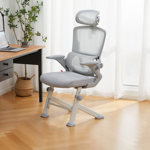 Duanlang U3F four-legged ergonomic chair office reclining seat home study computer chair study chair 702FB gray
