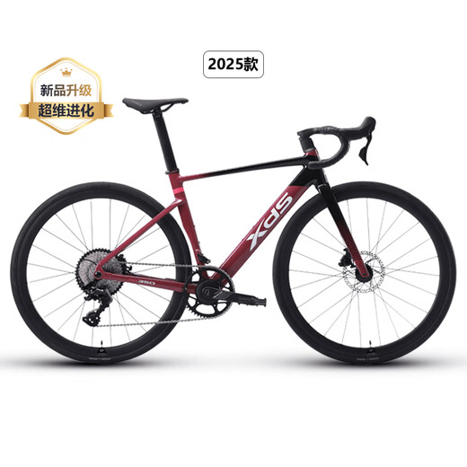 XIDESHENG READ BIKE 2025 AD350 Carbon Fasergabel -Kraftmessgerät Ultraleiche Aluminium Pneumatic Fitness Bike Taubengrau [komplettes Fahrzeugversand] 480 mm