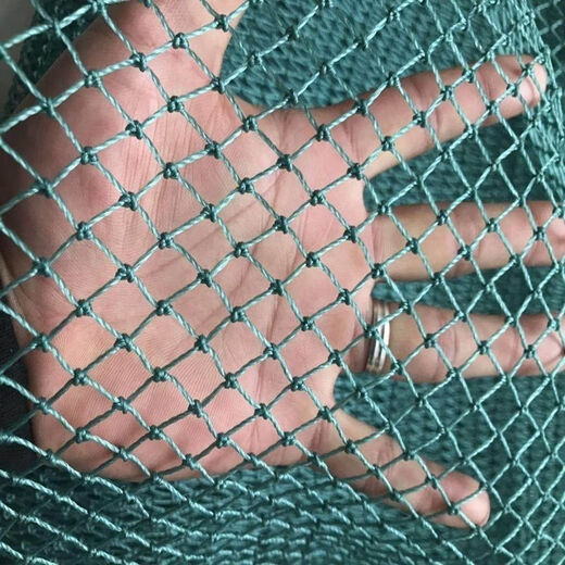 Chicken net, chicken net, fishing net, breeding net, fence net, nylon vegetable garden fence, climbing vine grid, chicken net, protective fish net, thickened 18 strands, 3 cm thick reinforced ribs, 2 meters high and 10 meters long