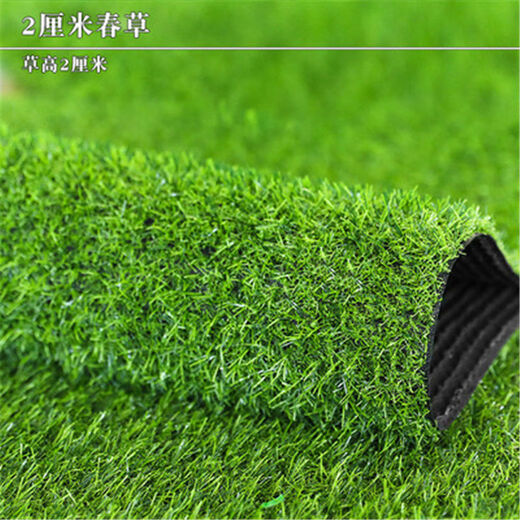 Simulated lawn engineering fence green fake turf carpet floor mat roof balcony courtyard sunshade sun protection aerial photography 2 cm spring grass adhesive style (double-layer composite bottom) 2 meters wide and 1 meter long