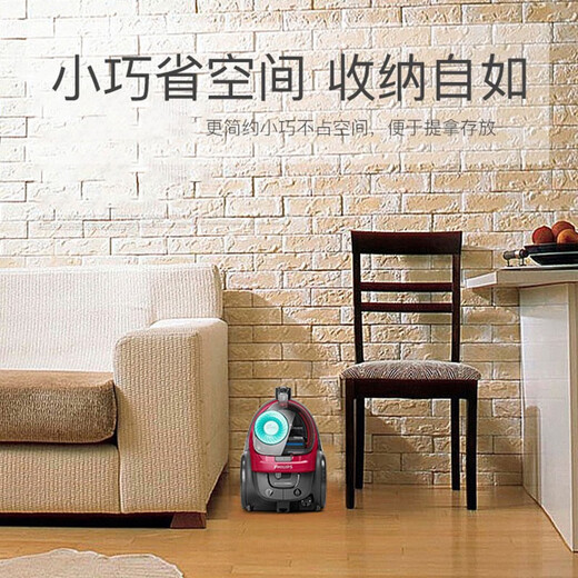 奥克斯吸尘器FC8632家用9573大吸力功率地毯静音螨除狗毛小型9735 FC9573/标配+九件套u0004自