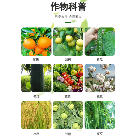 Haolitejida 31% Avitamin is a special pesticide for American spotted fly, Bean Ghost Painting Fly Killing Pesticide