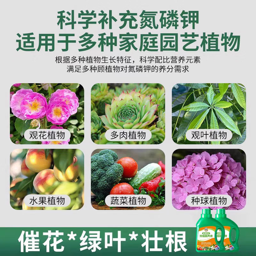 Nutrient solution plant universal flower fertilizer fortune tree rich bamboo green dill hydroponic potted household flower flower fertilizer universal concentrated type 500 ml bottle
