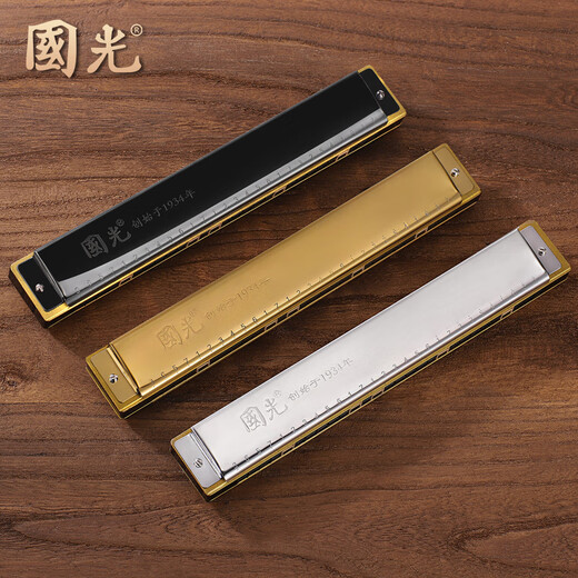 Guoguang Shanghai Guoguang harmonique 24 trous Polyphonique C-tuners pour débutants, élèves du primaire, introduction de 28 trous aux adultes pour enfants, version commémorative de Starry Silver [Tutoriel vidéo Colonde + vidéo
