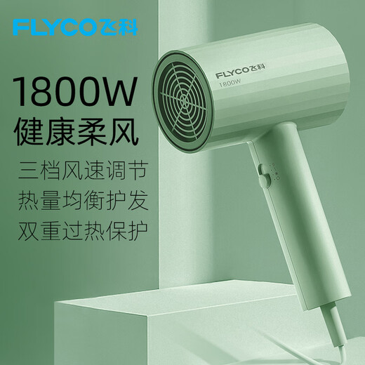 Flyco/Haartrockner Haushalt High-Power High-Speed ​​Dry Negativ-Ionen-Haarpflege Wohnheim Studenten FH6310 Flyco FH6296 (hellgrün)