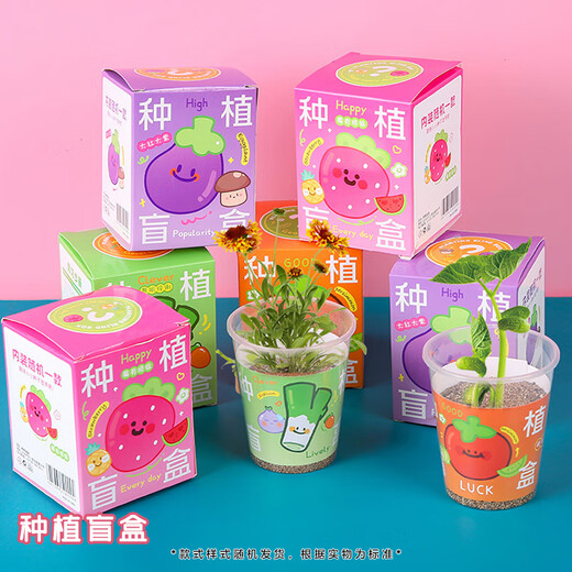 Xubeile Birthday Gift Kindergarten Eröffnungszeremonie Geschenk Ansouvenir Geschenkbox für Jungen, Mädchen, Grundschüler, Kinderspielzeug Return Gift