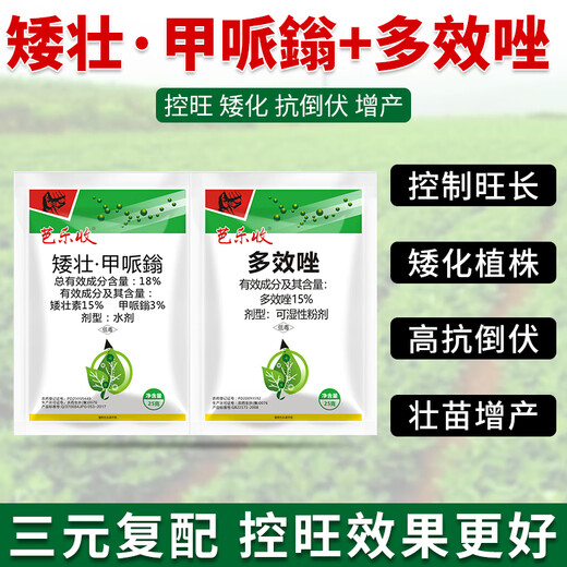 The combination of short and strong methylpiperium paclobutrazol to control vigour, dwarfing, controlling vigour, resisting lodging and increasing the yield of wheat, soybeans, rapeseed and peanuts, short and strong methylpiperium and paclobutrazol * 3 sets
