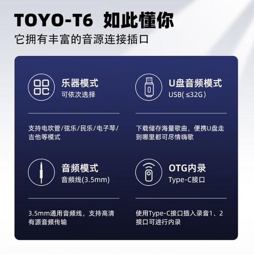 TOYO T6 musical instrument guitar audio playing and singing karaoke internal recording box electric blowpipe saxophone Bluetooth live broadcast customized model blue + bag + microphone