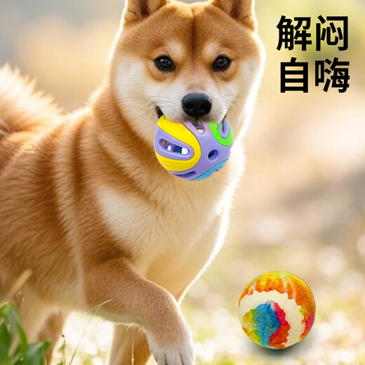 Zanpet Teething Dog Toy 3-piece Set Toy Golden Retriever Teddy Interactive Teething Relief and Bite-Resistant Dog Toy