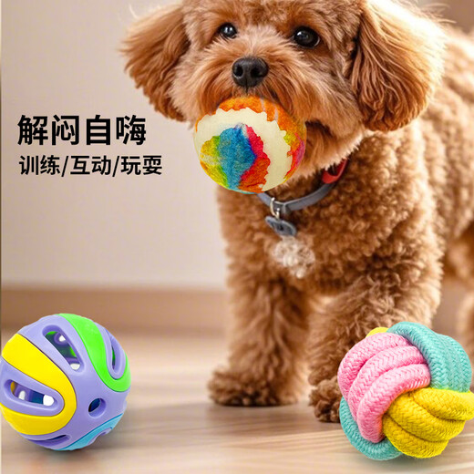 Zanpet Teething Dog Toy 3-piece Set Toy Golden Retriever Teddy Interactive Teething Relief and Bite-Resistant Dog Toy