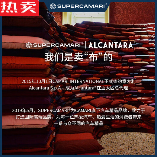 醉米德国进口品质SCAlcantara适用于奔驰S级迈巴赫特斯拉汽车头枕车 1105 NEVE 白 横绑款 单只(全Ac