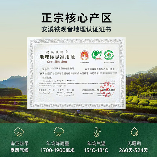 山国工夫茶乌龙茶 安溪铁观音浓香型蜜兰香2025新茶250g罐装 茶叶送礼自己喝