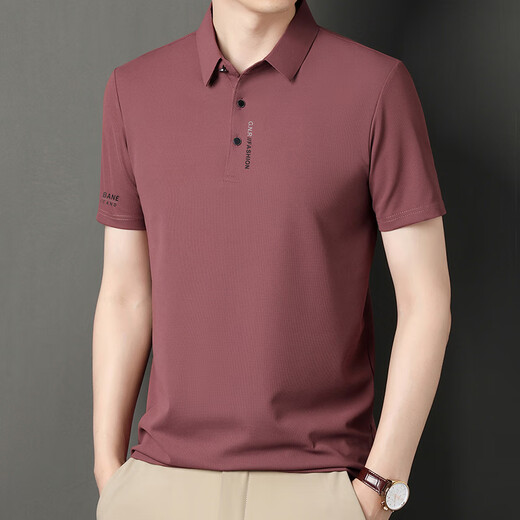 皮尔卡丹（pierre cardin）短袖T恤男2025夏季新款冰丝polo领商务休闲纯色半袖衫父亲节礼物 JS-677天蓝色 4XL