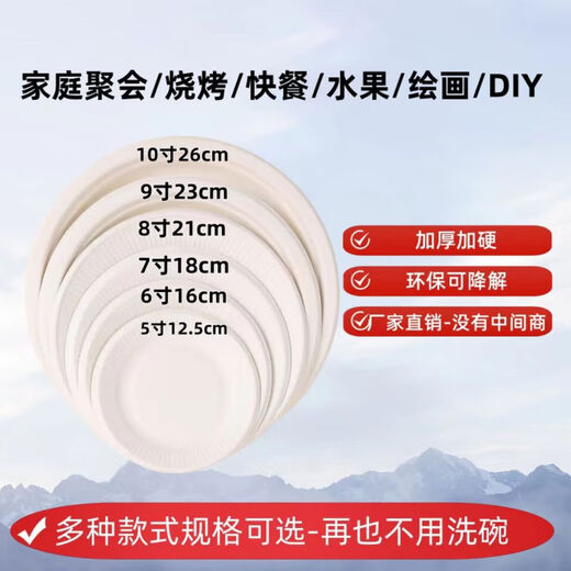 Disposable paper plate paper bowl tableware environmentally friendly paper dinner plate barbecue plate cake painting handmade diy kindergarten plate 10 inch round plate 10 pieces