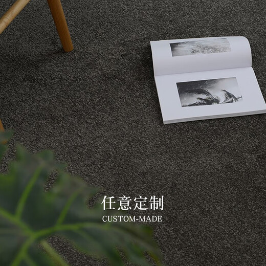 优质地毯客厅茶几毯卧室大面积满铺现代简约纯色床边毯办公室加厚 新米白色7036-经典款 高级百搭- 2000MM×3000MM