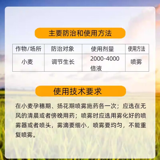 Lezhuangfeng 28 high brassinolide wheat plant growth regulator strong seedlings and strong seedlings Yuntai lactone 1000ml*1 bottle