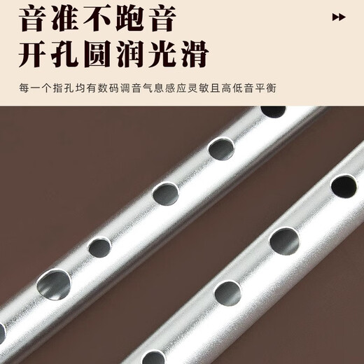 Penney Irlanda Full Metal Whistle Aluminio Aluminio Aleación de 6 hoyos Pitch Shistle Western Recorder recta Flauta Instrumento de viento para principiantes C Tune