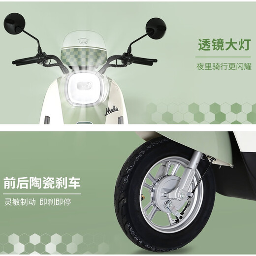 Luyuan Double 11 Yearning Life Recommendation Electric Motorcycle M7ultra Continued 74km-60V20AH-5 lead-acid batteries-1000W Household Scooter White