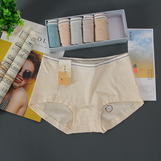 UHFR Beauty Salon Hi Billion Coton Cotton Field Sous-vêtements pour femmes Shorts de coton Femme Pantalon hebdomadaire coloré Coton Ordin Middle Bear 9227 [M] 6 PACKS [1 Autre style] Toute taille