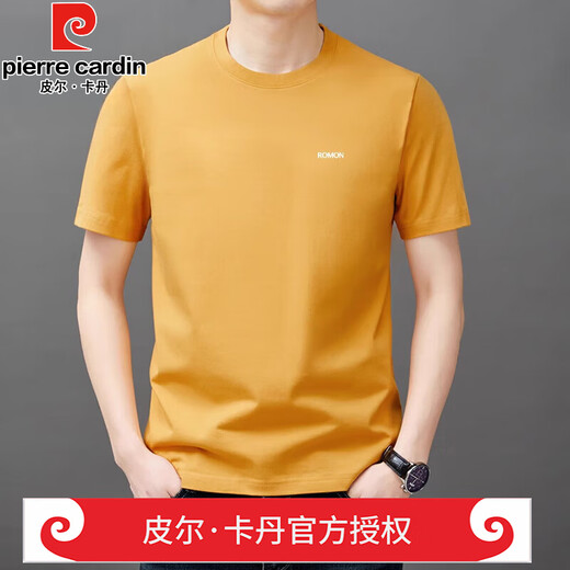 皮尔卡丹（pierre cardin）重磅高档男士短袖t恤夏季新款潮流纯棉简约圆领上衣休闲商务体恤 官方店品牌YS9929湖兰 均码 110 【111-125斤】