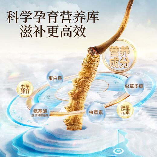 雷允上冬虫夏草4根/g 20g约80根滋补养生礼品补品送长辈礼物