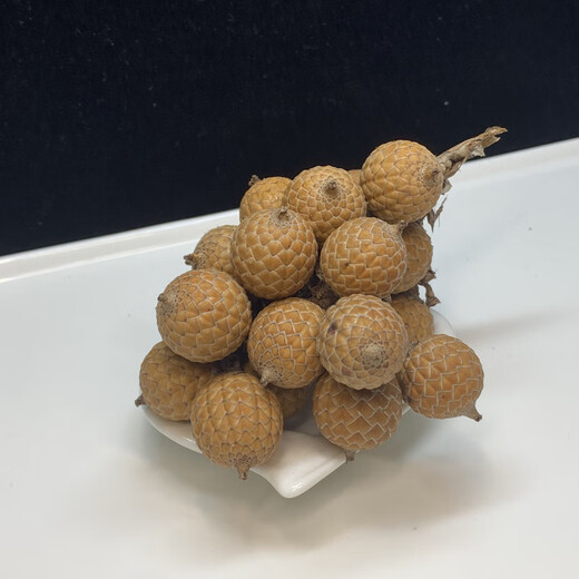 
Zhenli New Hainan Hair Feather Feet Star Moon Bodhi Seed Raw Material Red Vine Batch with Shell Hair Original Ecological 829 Process Factory Material Scattered Beads Original Seed Scattered Beads About 16mm [30 pieces] 16mm