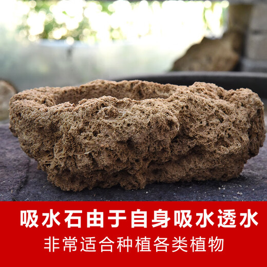 Stone flowerpot absorbent stone water stone original stone natural flowerpot with asparagus bamboo and calamus succulent plant micro landscape pot 13-17cm stone pot + tiger beard calamus package 2