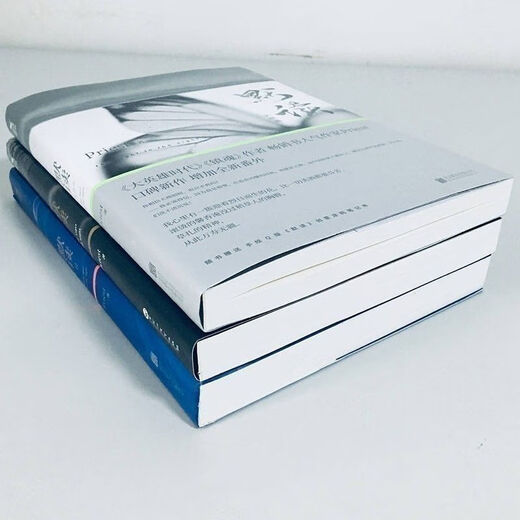 [1424 Menschen gesammelt] Ungewiss, stilles Lesen der Priester Complete Collection, Originalversion von 3 Bänden, beliebte Drama -Romane auf demselben Namen in der Seele, Silent Reading of 2