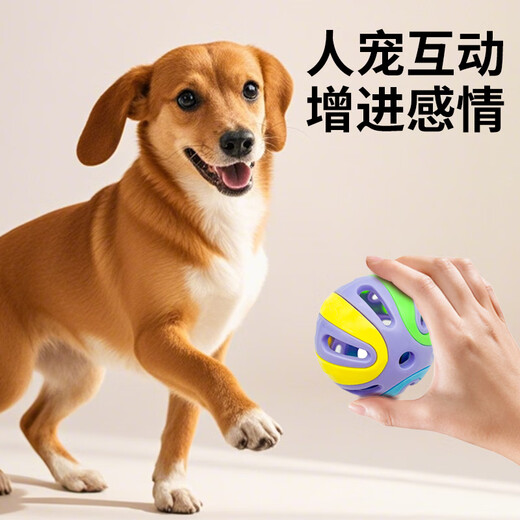 Zanpet Teething Dog Toy 3-piece Set Toy Golden Retriever Teddy Interactive Teething Relief and Bite-Resistant Dog Toy