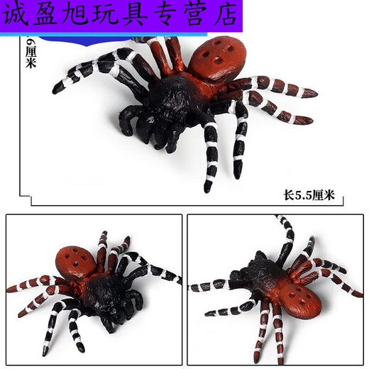 Simulation du village de Shantoulin Spider Spider Halloween Prank Toy Simulation Spider VenoMous Spider Insect Modèle Animal Ox-683 Brésilien Blue Bird Catching Spider 0.0
