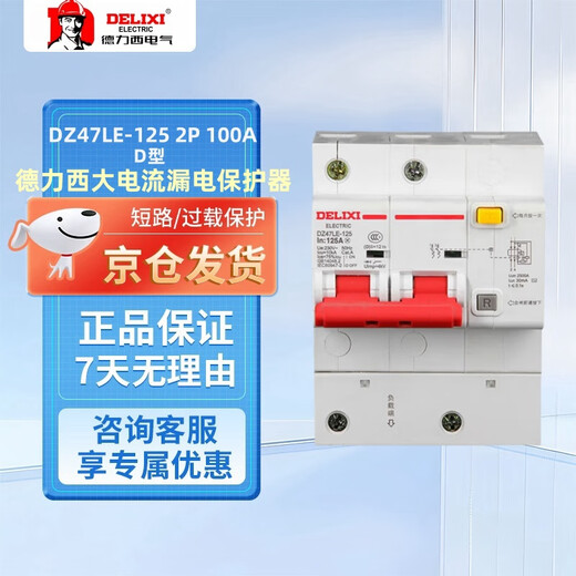 DELIXI Electric leakage protector DZ47LE-125 2P D100 2-phase 100A rated current 220V large current leakage protection air switch