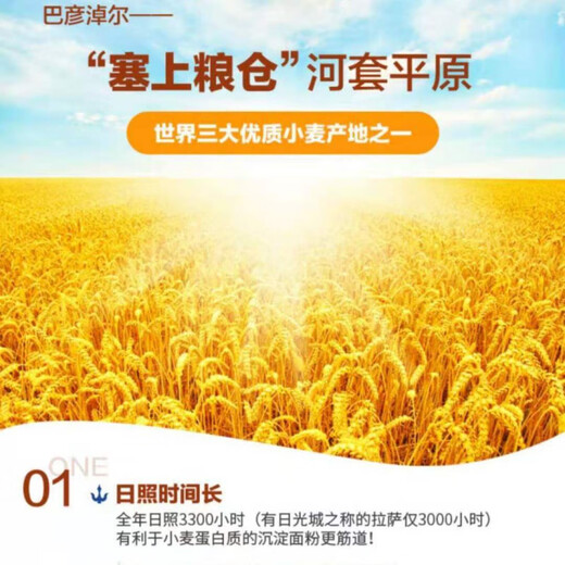 河套正宗内蒙古河套平原面粉10斤中筋面粉饺子馒头巴盟特产 10斤新国标1355-2021雪花粉