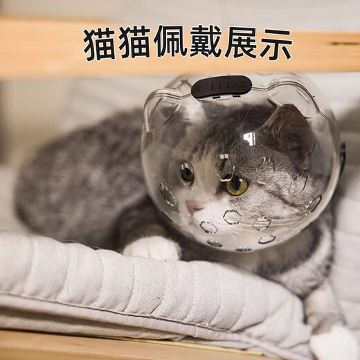 Miling cat space hood Elizabethan ring sterilization protective hood anti-biting and licking break away cat muzzle bathing and nail clipping Small size - recommended 5-10 Jin Jin equals 0.5 kg cat