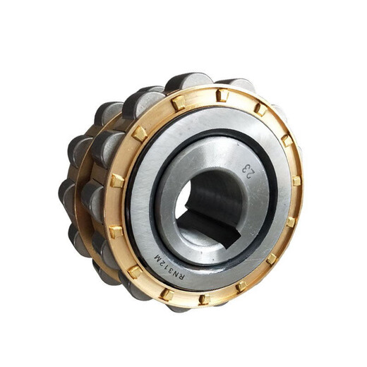 ZWZ eccentric bearing RN205RN206RN307RN309204312219222 6224